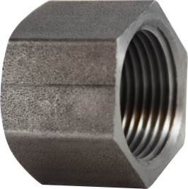 CA012 1/8" BLACK STEEL HEX PIPE CAP