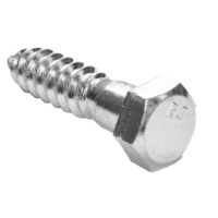 1/4 X 1 HEX LAG SCREW SS