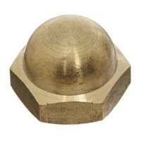 1/4-20 UNC ACORN NUT BRASS