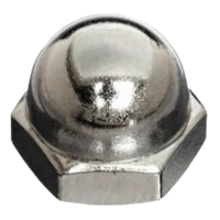 .24CNCAZ M24-3.0 UNC ACORN NUT ZINC PLATED