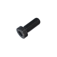 10C62KCS/LO 10-24 X 5/8 SOCKET HEAD CAP SCREW LOW HEAD ALLOY